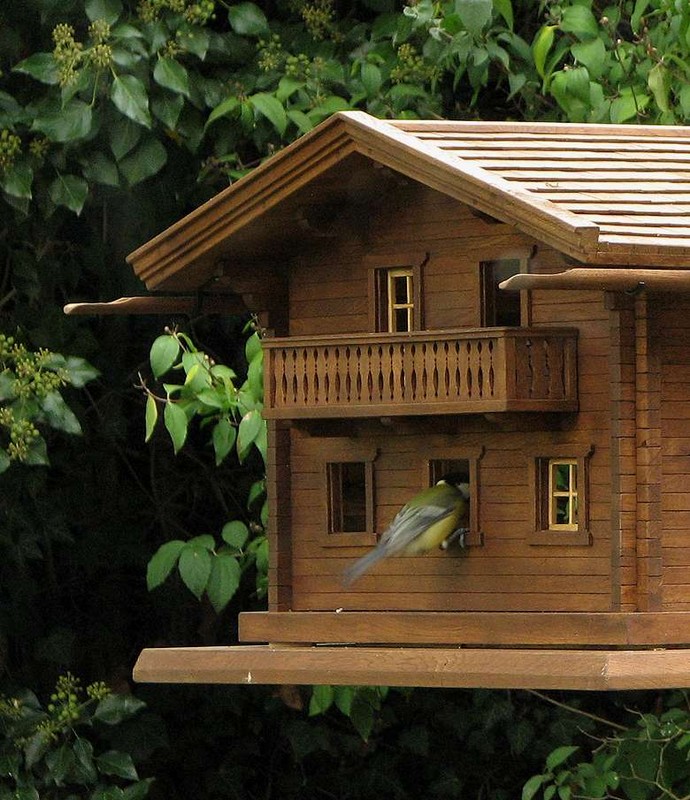 Chalet-Vogelvilla aus Holz mit Blaumeise am Balkonfenster
