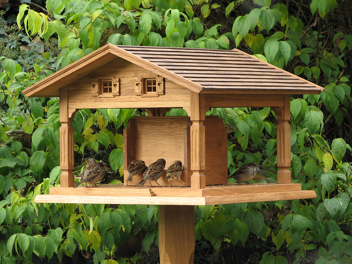 Handgefertigtes Vogelhaus aus Eiche mit offenem Futterplatz und Sperlingen im Garten