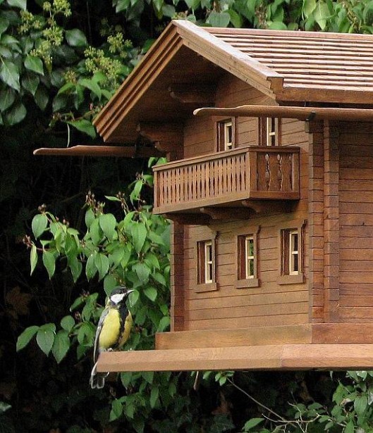 Vogelvilla im Chalet-Stil mit geschnitztem Balkon und Kohlmeise